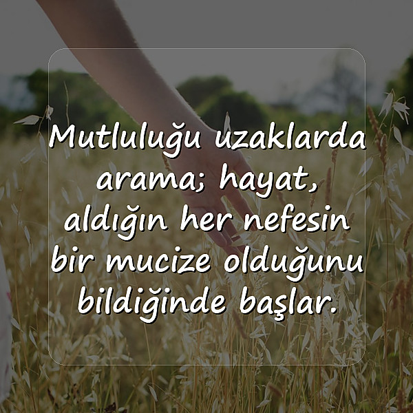 hayat kısa sözleri - 11
