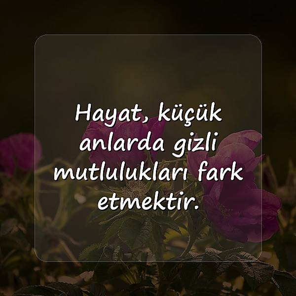 hayata dair sözler - 15
