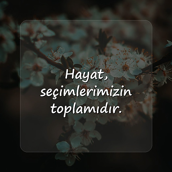 hayata dair sözler - 11