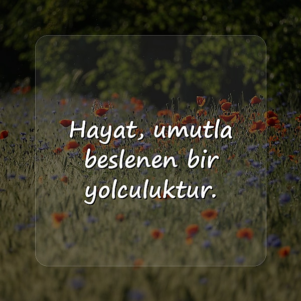 hayata dair sözler - 6