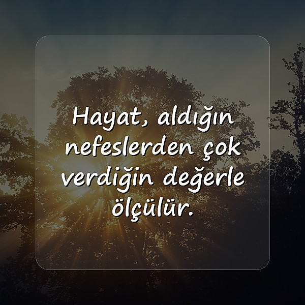 hayatla ilgili sözler - 12