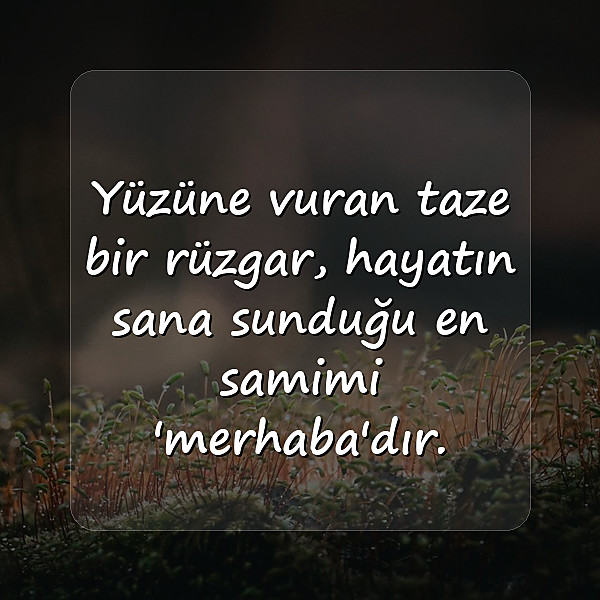 huzurla ilgili sözler - 7