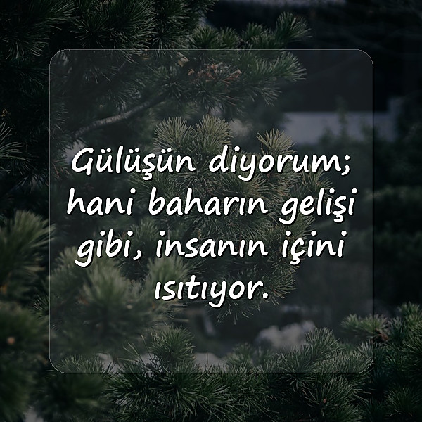 iltifat sözleri - 1
