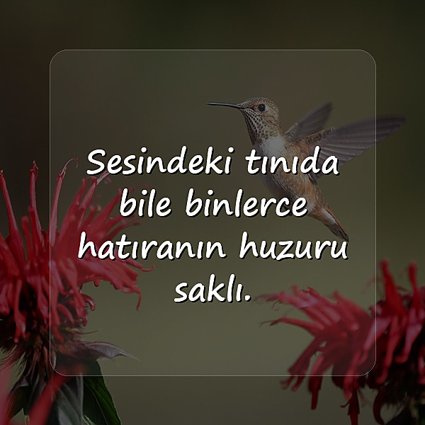 iltifat sözleri - 2