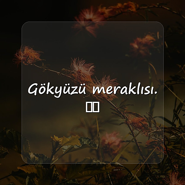 instagram biyografi sözleri - 6