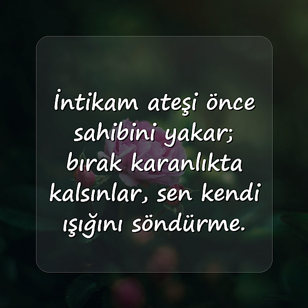 intikam ile ilgili sözler - 12