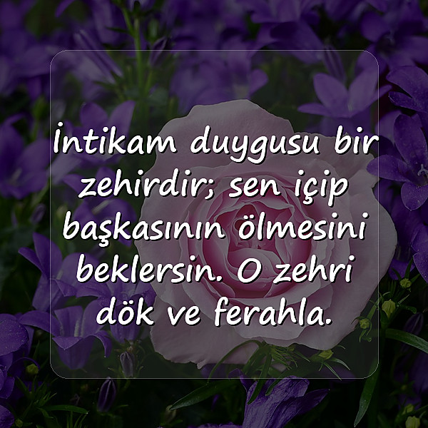 intikam ile ilgili sözler - 11