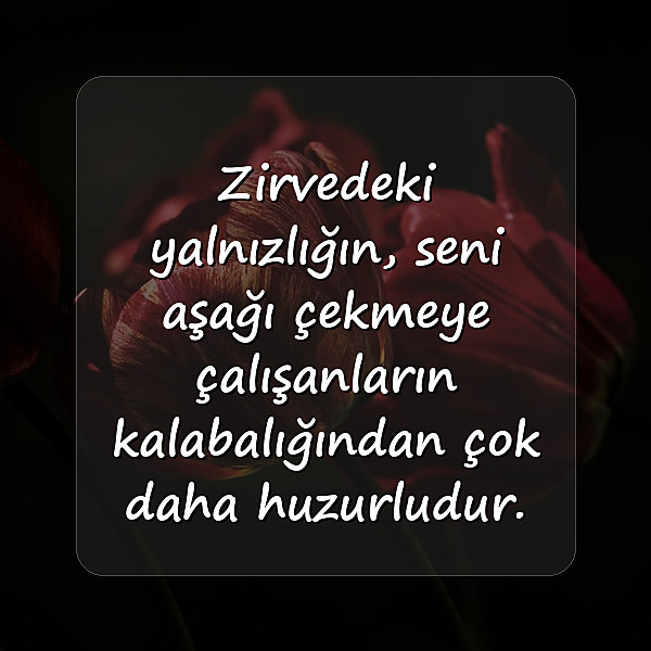 intikam ile ilgili sözler - 7