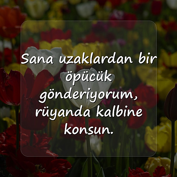 iyi geceler mesajı sevgiliye - 6