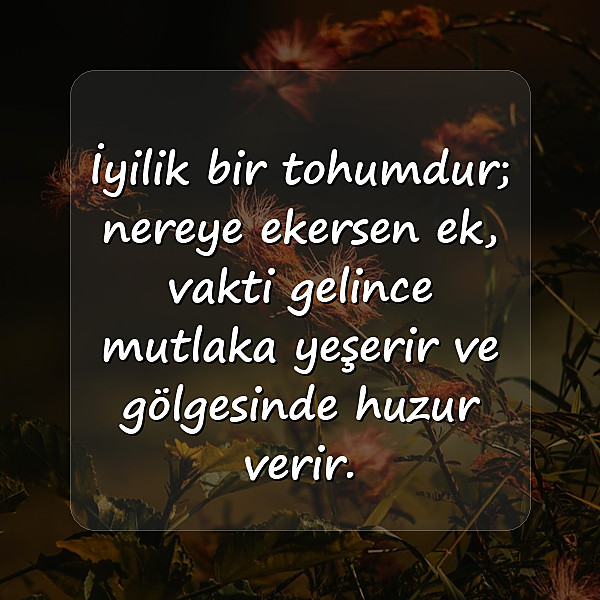 iyilik ile ilgili sözler - 5