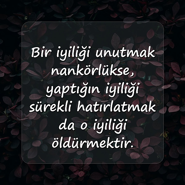 iyilik ile ilgili sözler - 11