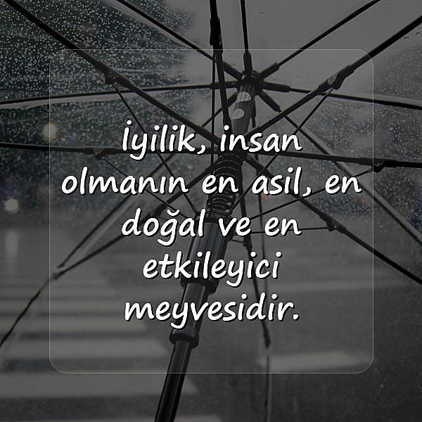 iyilikle ilgili sözler - 3