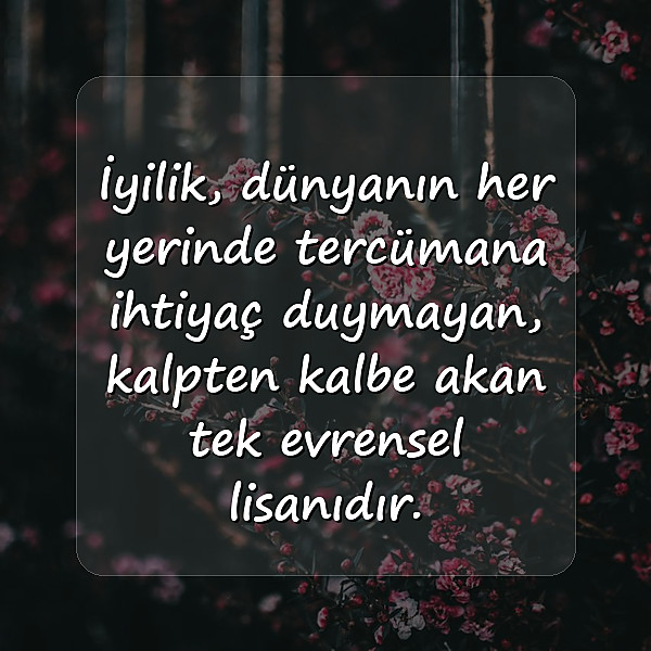 kalp ile ilgili sözler - 12