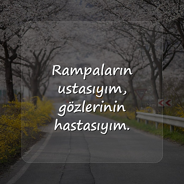 kamyon arkası sözler - 5