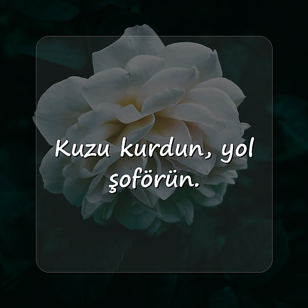 kamyon arkası sözler - 1