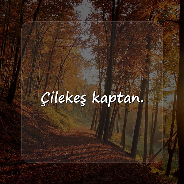 kamyon arkası sözler - 2