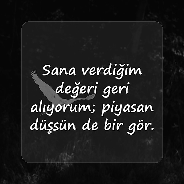 kapak sözler ağır - 5