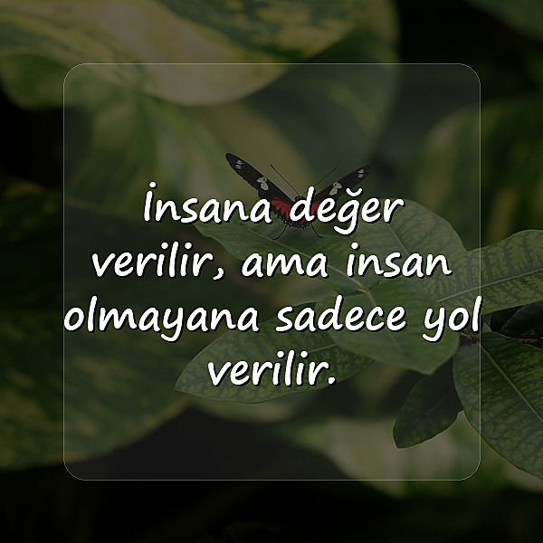 kapak sözler ağır - 6