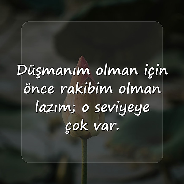 kapak sözler - 2