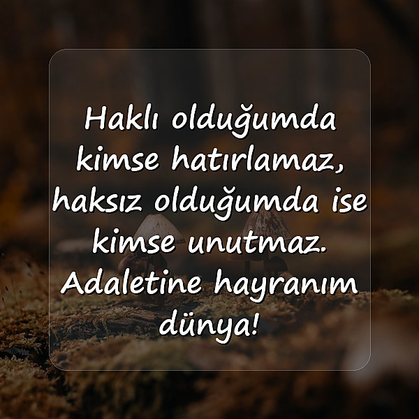 komik sözler - 2
