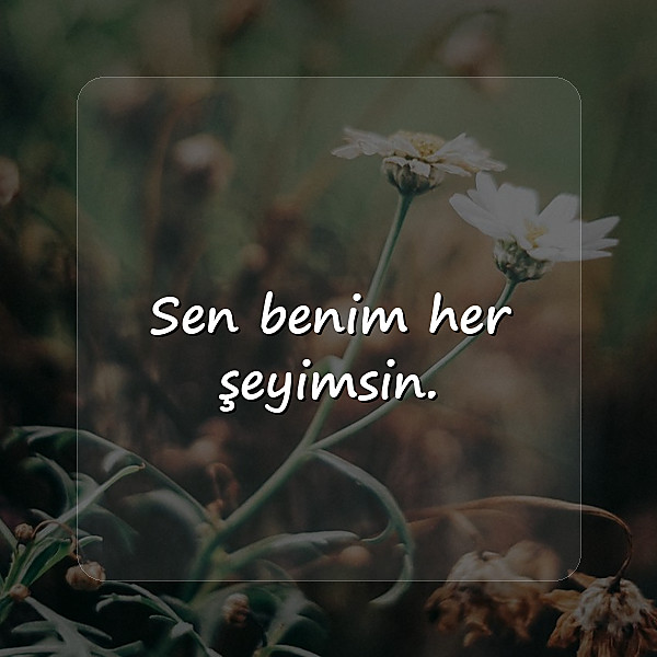 kısa aşk sözleri - 25