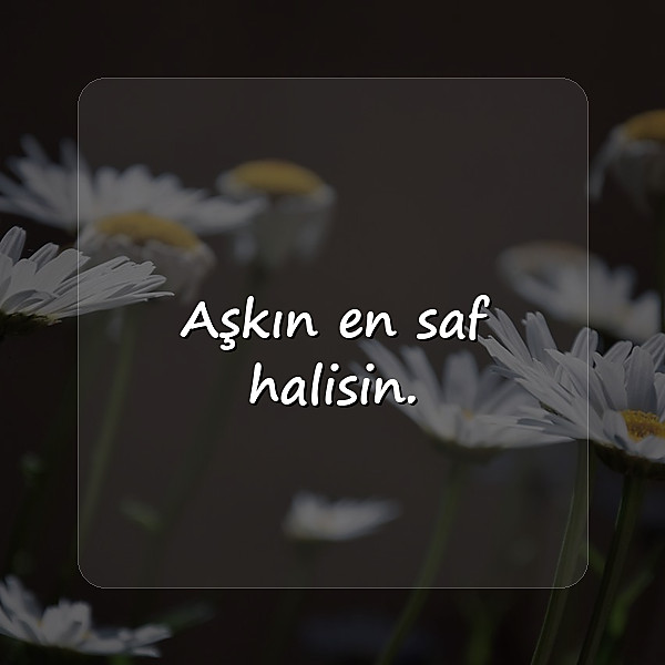 kısa aşk sözleri - 22