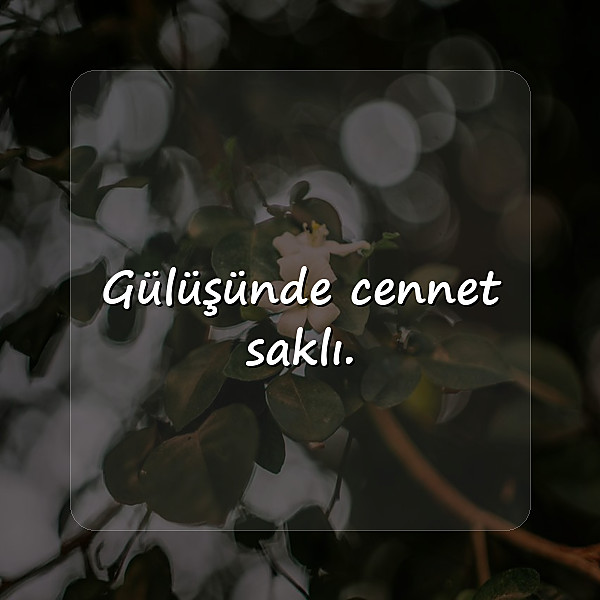 kısa sözler - 1