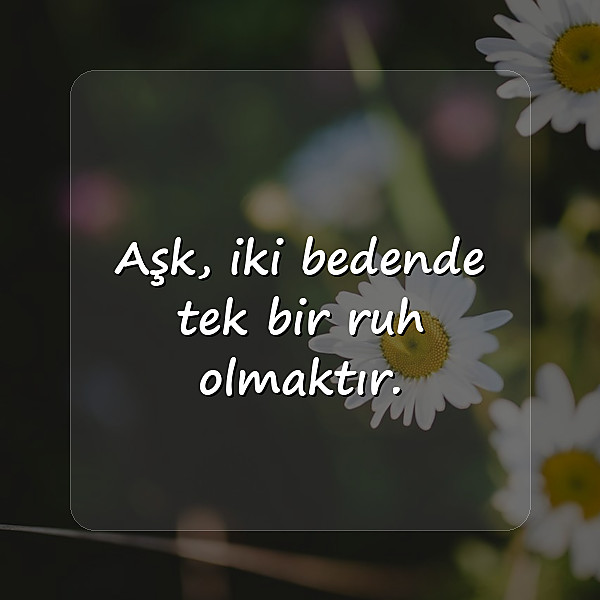 kısa sözler - 11