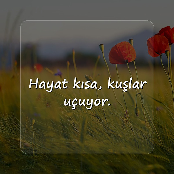 kısa sözler - 7