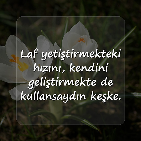 laf sokucu sözler - 17