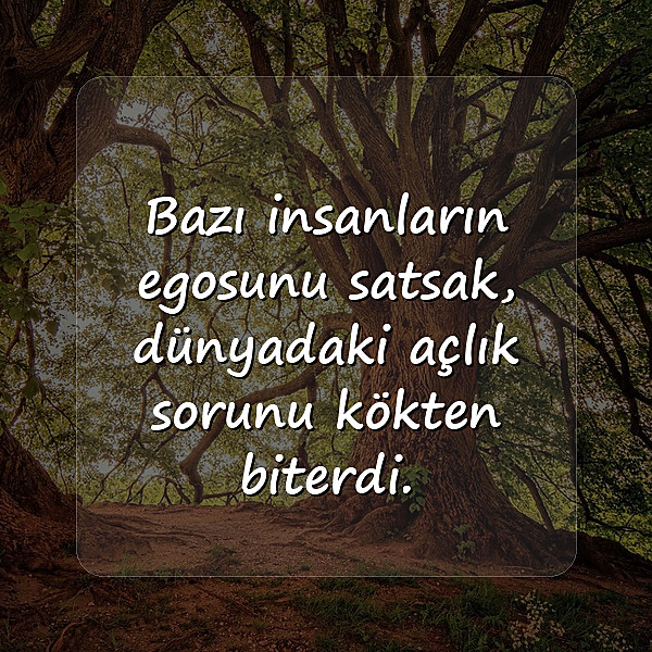 laf sokucu sözler - 1