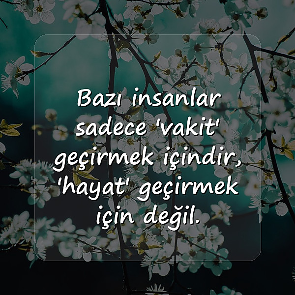 laf sokucu sözler - 2