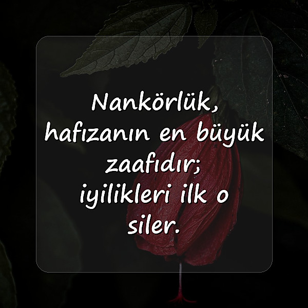 nankör sözler - 15