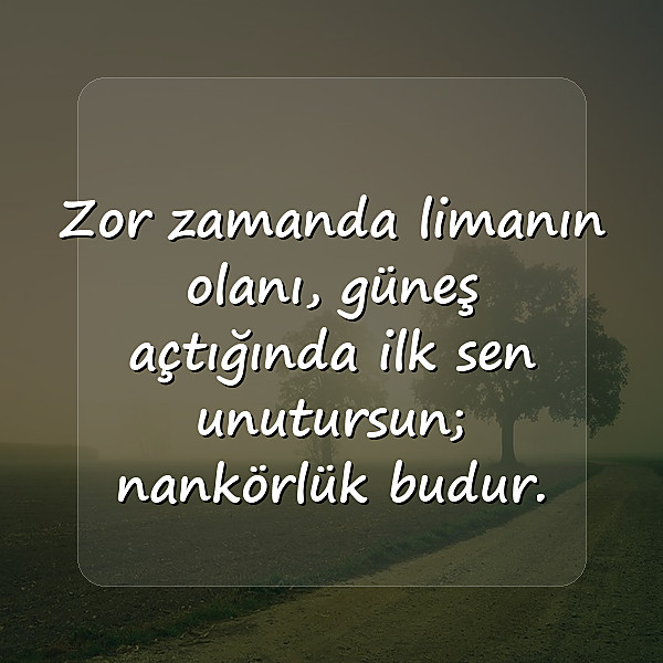 nankör sözler - 11