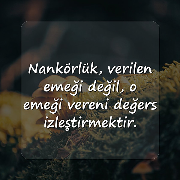 nankör sözler - 2