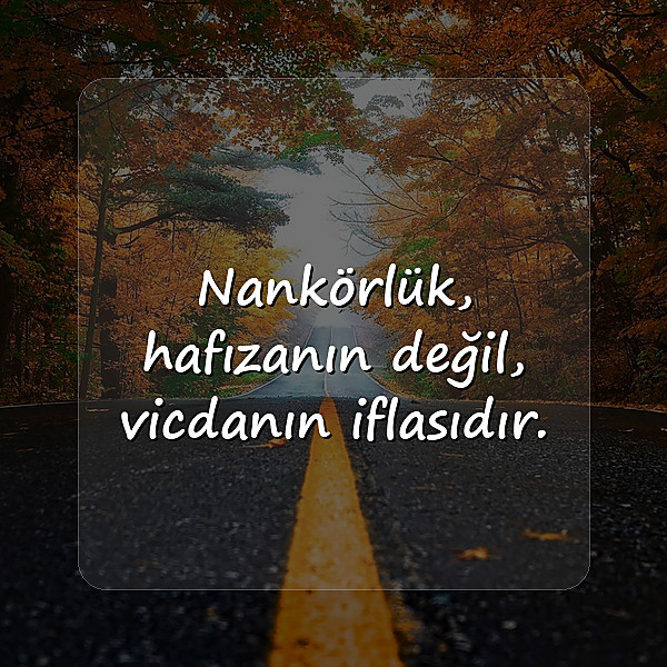 nankörlere sözler - 15