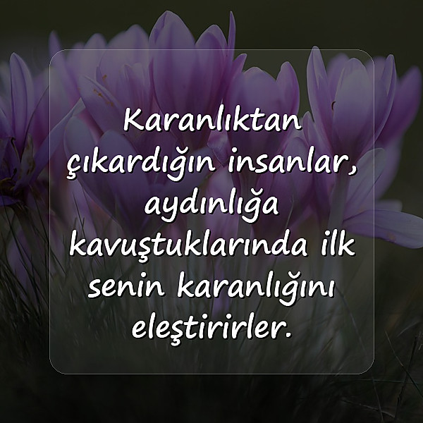 nankörlere sözler - 11