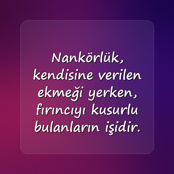 nankörlere sözler - 3