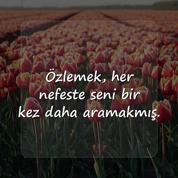 özlemek ile ilgili sözler - 15