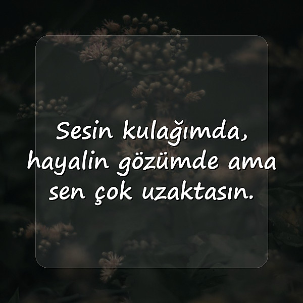 özlemek ile ilgili sözler - 11