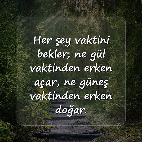Özlü Sözler - 12