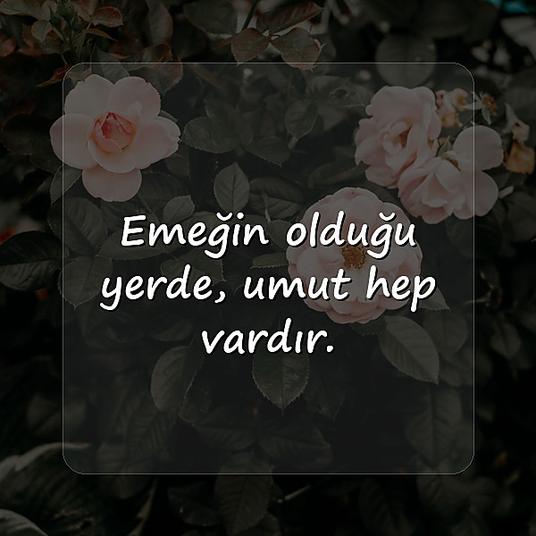 Özlü Sözler - 11