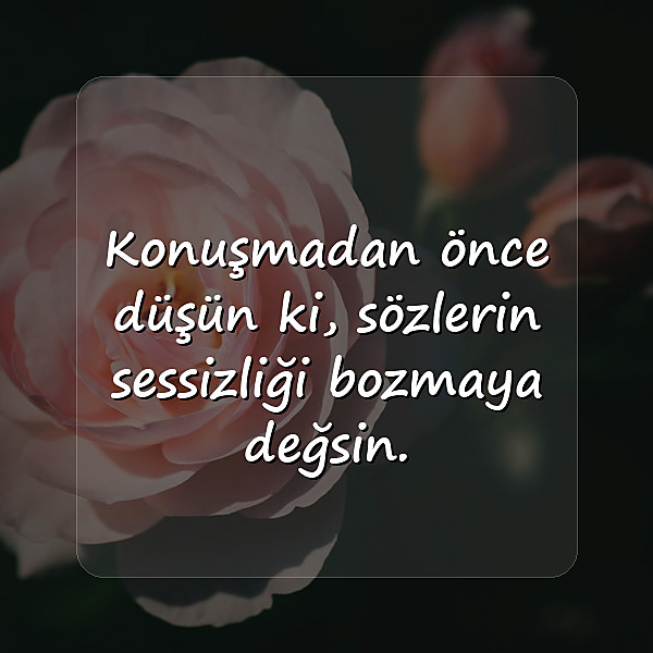 Özlü Sözler - 3
