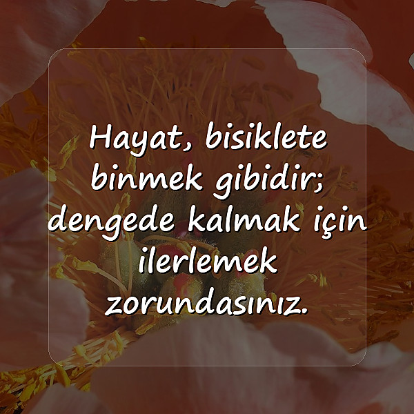 Özlü Sözler - 5