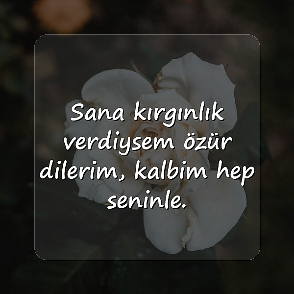 özür mesajı sevgiliye - 5