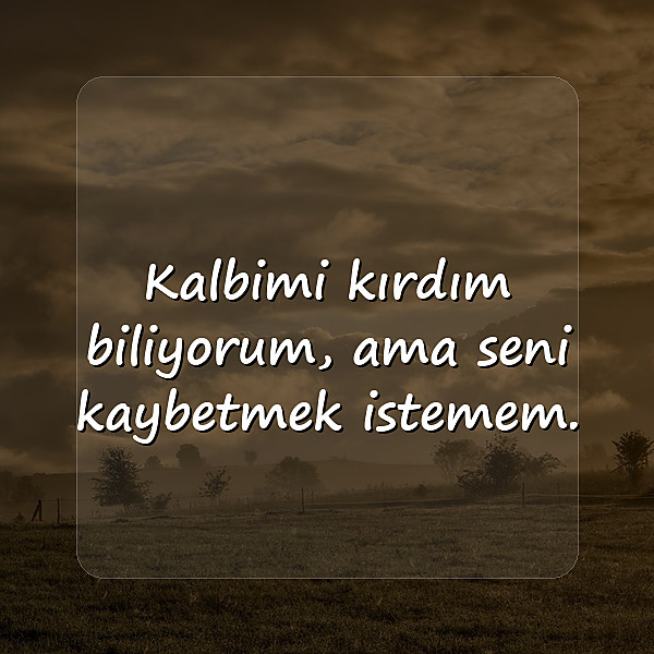 özür mesajı sevgiliye - 1