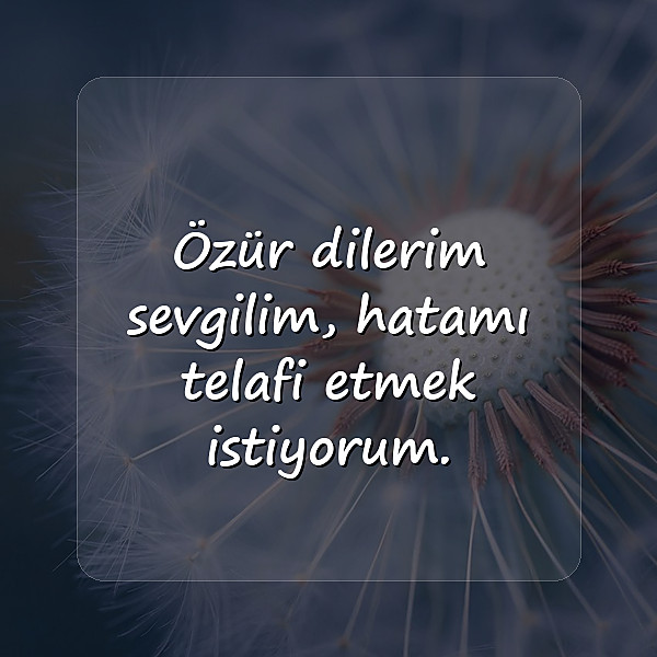 özür mesajı sevgiliye - 22