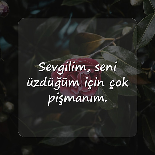özür mesajı sevgiliye - 6