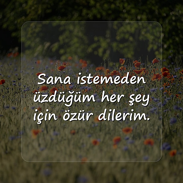 özür mesajları	 - 10