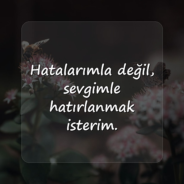 özür mesajları	 - 2